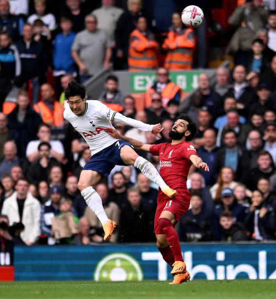 乍到的外援 乍到的外援